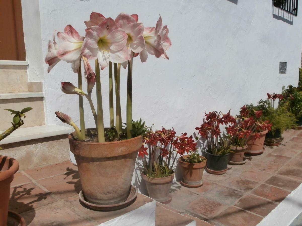 تورّوكس كوستا Casa Alta B&B المظهر الخارجي الصورة